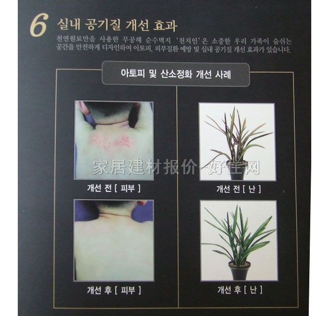 shinhan���� �����33124-2 1.06m��15.60m ��y ��ɫ