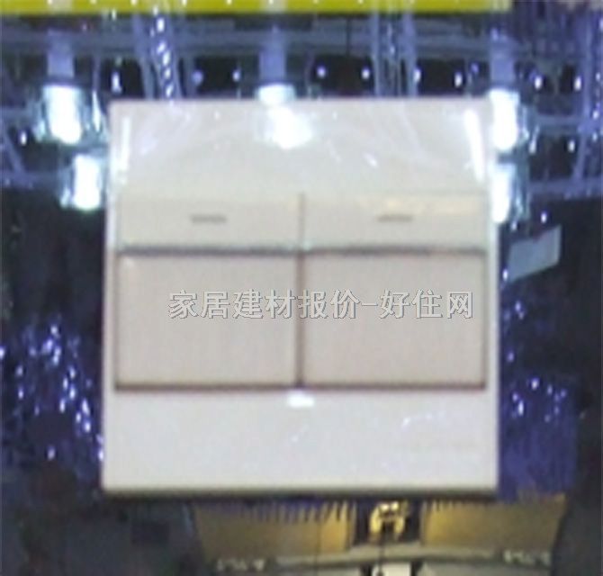 家的大蹺板開關(guān)面板 E系列 2位單控 白色 帶熒光指示