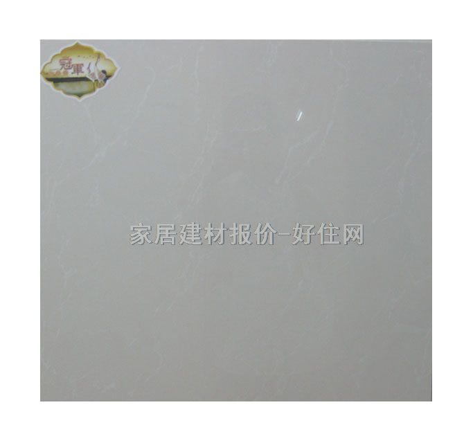 百利通地磚 拋光磚BFC0607 600mm×600mm