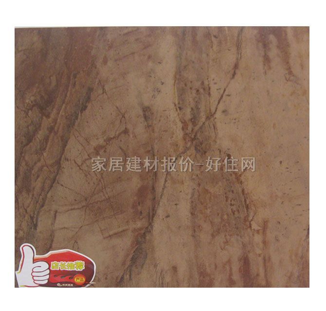 帝舵地磚 拋光磚T6633 600mm×600mm