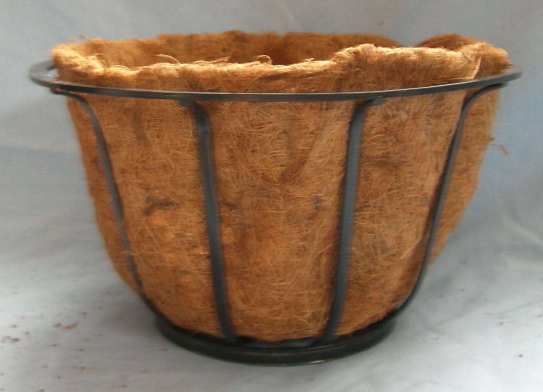 �������������� 12"�A�@ 12"