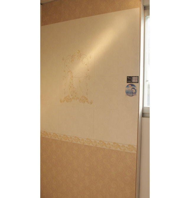 �ݰ���Ƭ �ŵ�y�HY349025-745A 450mm��70mm