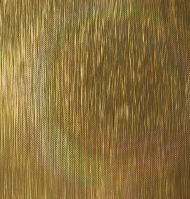 ���i����� �������z�D��ϵ�н�ɫѣ��LF28011 2440mm��1220mm����1mm