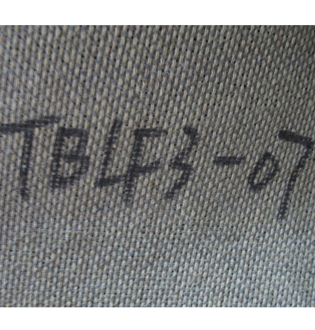 集美茶幾地毯 尼龍+纖維 TBLF3-07 定制尺寸 毛高4cm 手工紡織 米白 淺啡