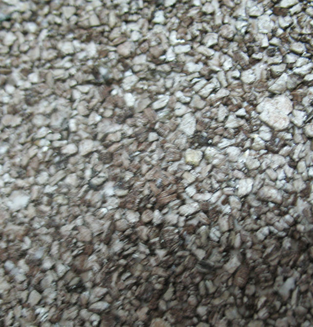 Hawaii�����ĉ��� K2016 ��91cm���L26�� �o���� �w�� ��ɫ