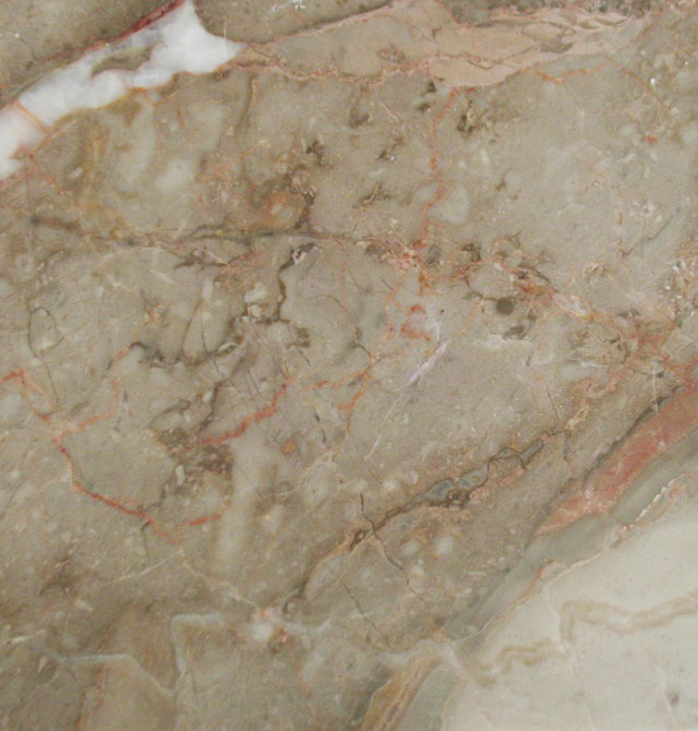 ����ʯ õ��t ��1.7mm