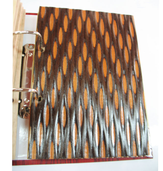 ɭ�Y���˰� С��(x��)�y10#VDB-369�b� 2440mm��1220mm����5mm