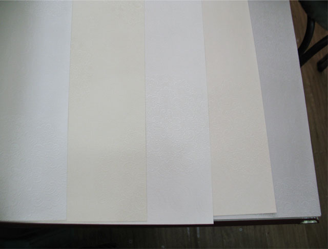 TEMPTATION墻紙 2506 寬530mm×長(zhǎng)10.05米 暗花 白色