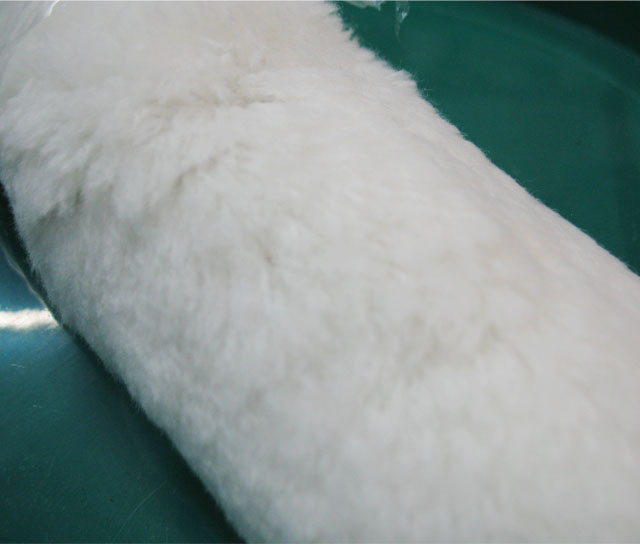 Ҭ��(sh��)�LͲˢ ���I(y��)�ÝLͲ����� 10��(250mm)