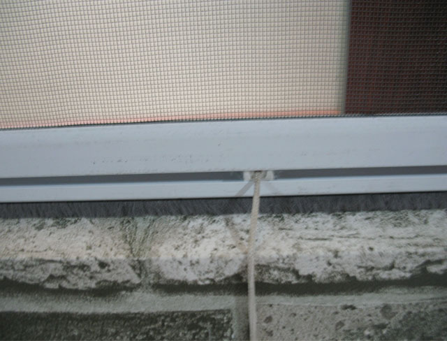 껎����� HS(C)-L-04�w�S�W(w��ng) ӆ��