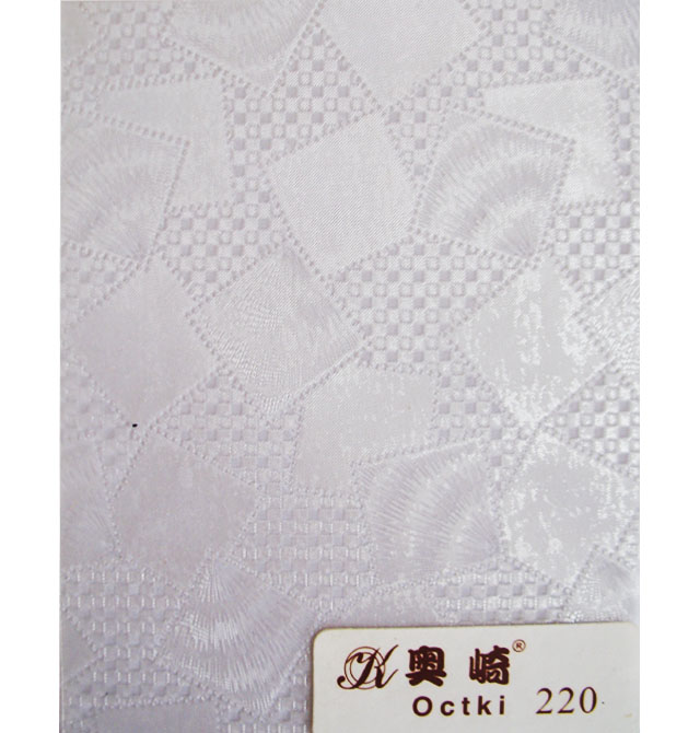 ������ 220 0.6��10m ͸��