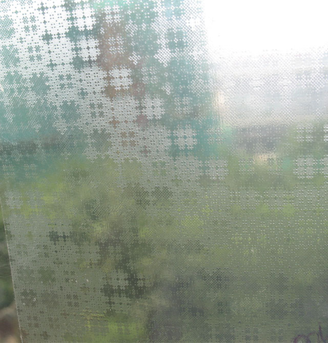 �W�鲣���� 006 0.6��10m ͸��