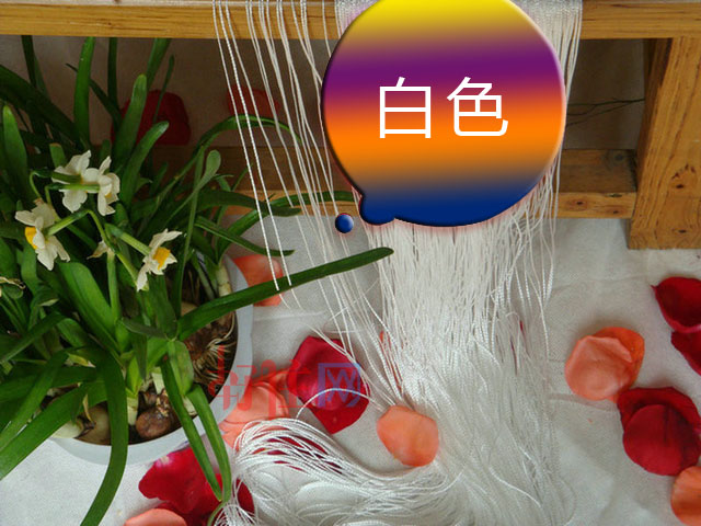 �����Q����غ� ���� 2�� ��]�w�S ��ɫ���x ��ɫ