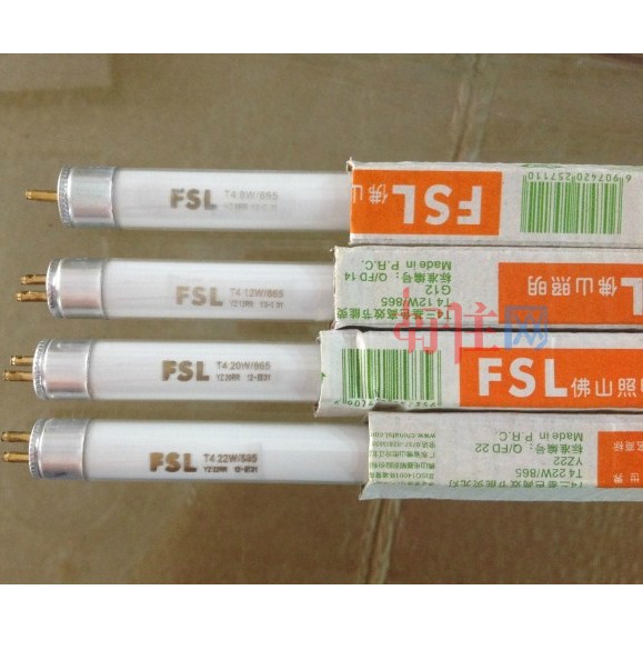 ��ɽ�����չ����Դ T4/����ɫ��ܰ׹� 22W