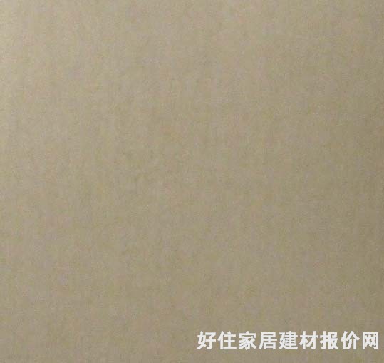 露華濃地磚 拋光磚Y60103 600mm×600mm