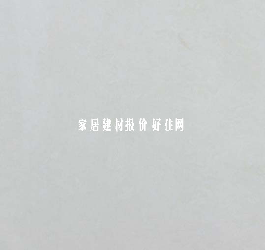 樵東地磚 拋光磚8WP6002Q 800mm×800mm