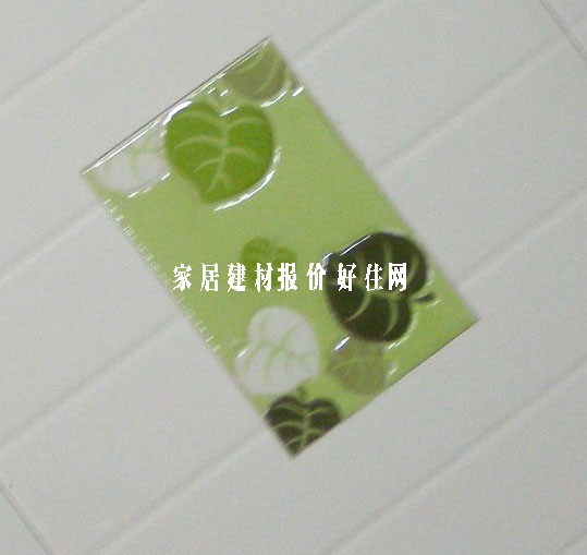 �t���\���u��Ƭ C-C 300��450mm