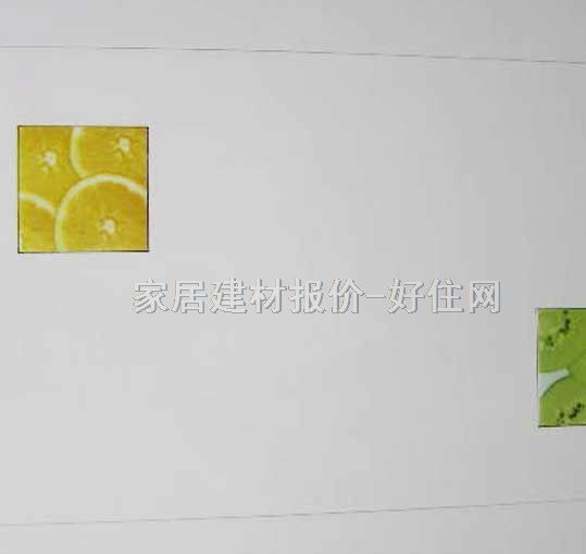 ��퍉��u��Ƭ 2-66500A2 300��600mm