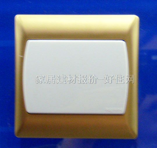 TCL-羅格朗空白開(kāi)關(guān)面板 613500 常用規(guī)格 白色按鍵金黃框