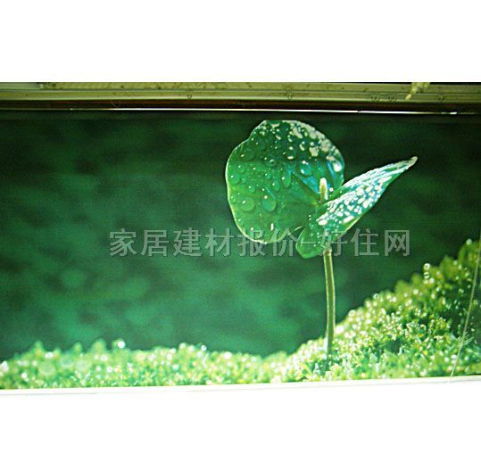 �t�ՏN�l(w��i)��ꖺ� ����01 ӆ��