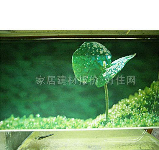 �t�ՏN�l(w��i)��ꖺ� ����01 ӆ��