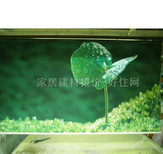 �t�ՏN�l(w��i)��ꖺ� ����01 ӆ��