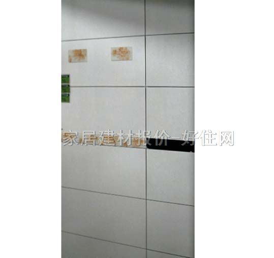 �ٺ���Ƭ ����׺�BY1-63013YP11 60mm��300mm