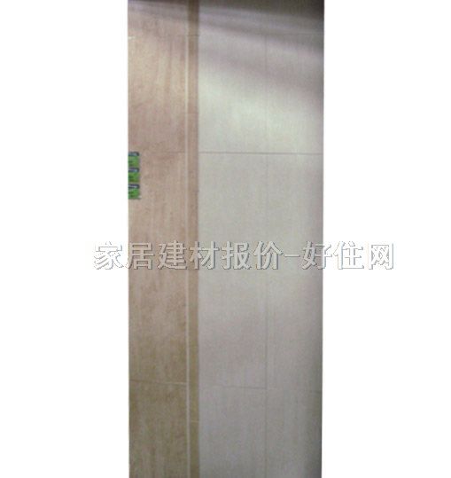 ���A��Ƭ ����׺����� 2Y45036G-S 60mm��300mm