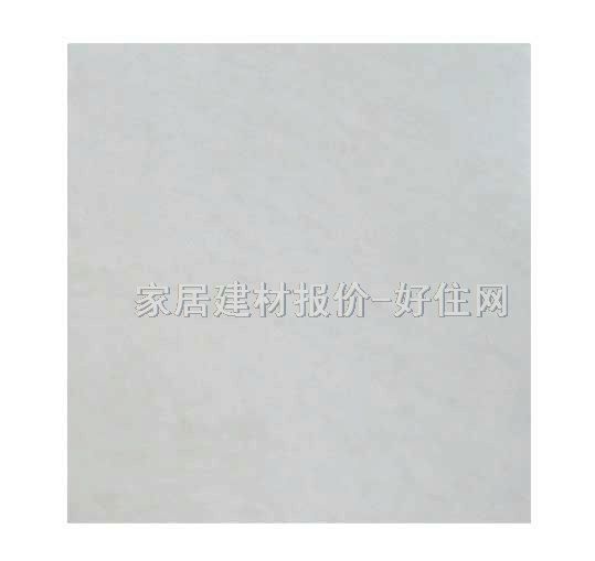 新潤成地磚 拋光磚聚晶微粉SP6A11 600mm×600mm