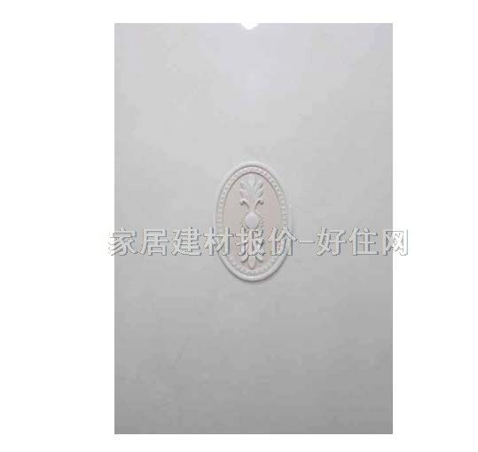 ���u��Ƭ 2A451602G-V 300��450mm