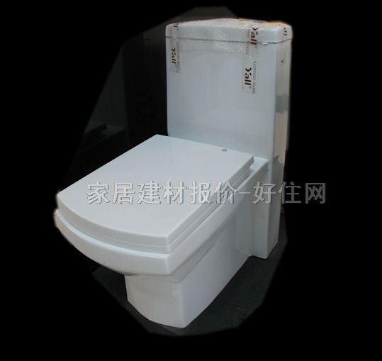 雅麗潔連體馬桶坐廁 8058 未知