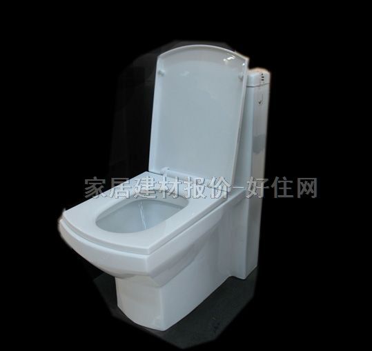 雅麗潔連體馬桶坐廁 8058 未知