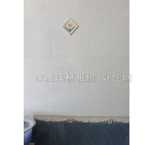 ��(chu��ng)ʢ��Ƭ �ŵ�y�909BJ 70mm��300mm