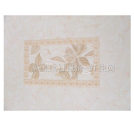 ���u��Ƭ 9E21AC1 450��300mm