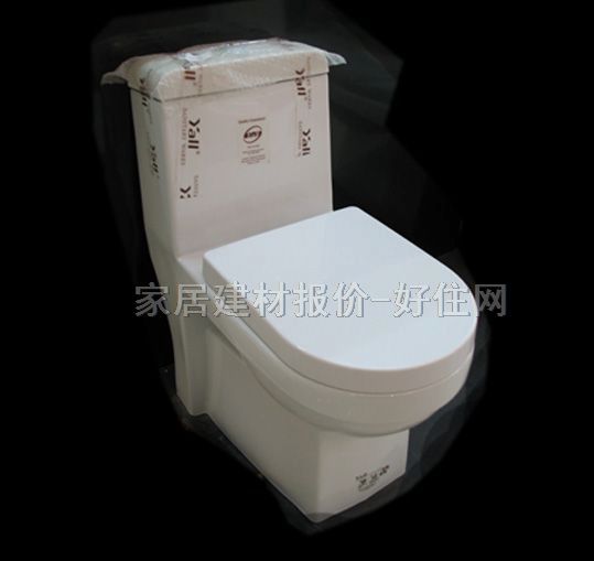 雅麗潔連體馬桶坐廁 8053 未知