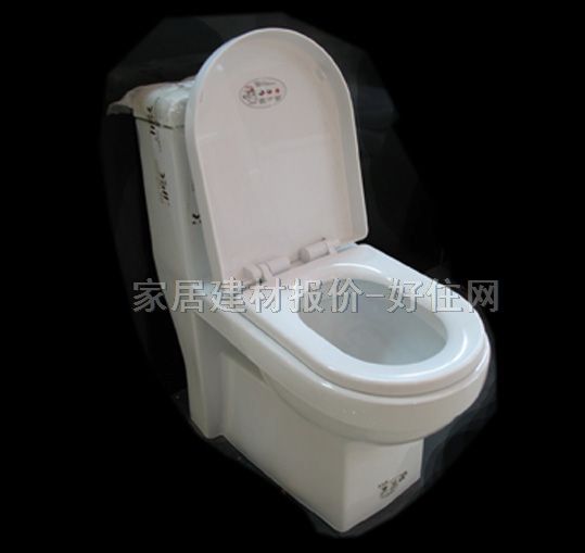 雅麗潔連體馬桶坐廁 8053 未知