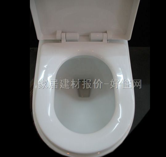 雅麗潔連體馬桶坐廁 8053 未知