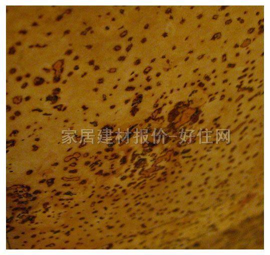 雍庭軟木地板 JCA060216 300×600×6mm