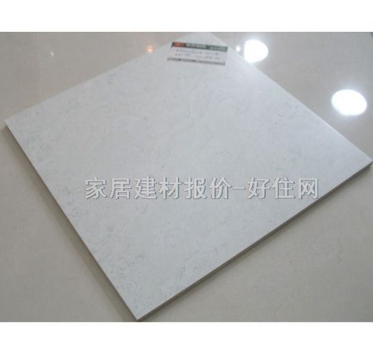 順輝地磚 防滑磚SAY02996 300mm×300mm