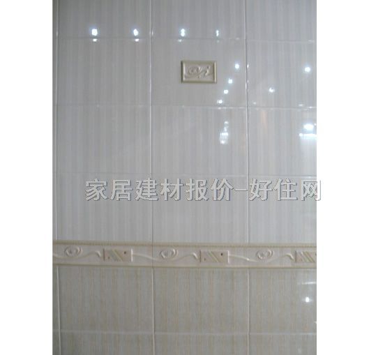 ��x��Ƭ ����׺�05238-001�� 80mm��330mm