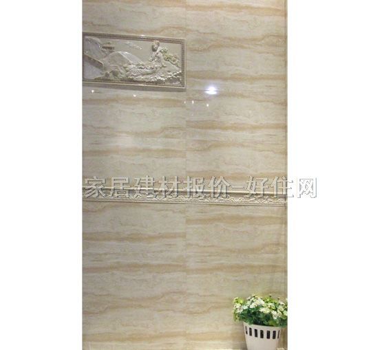 �W����Ƭ �ŵ�y�H3010 80mm��300mm