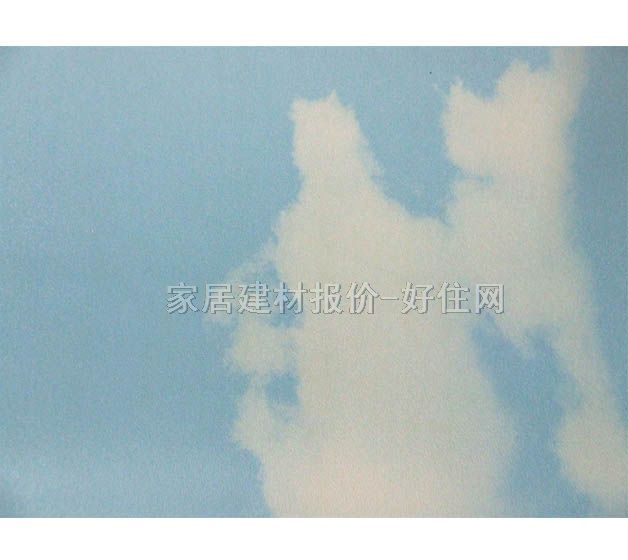 ���� �w�S��ˇ����DSP504 0.53��10M ��ͨ �{ɫ