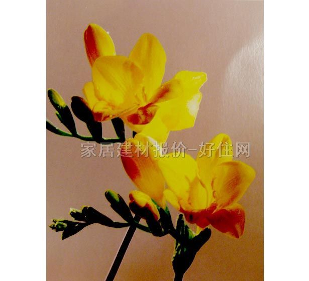 ���� �ڮ� S7004 ӆ�� �� �Sɫ