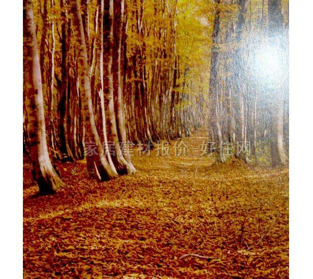 ���� �ڮ� S8008 ӆ�� �L(f��ng)�� ��ɫ