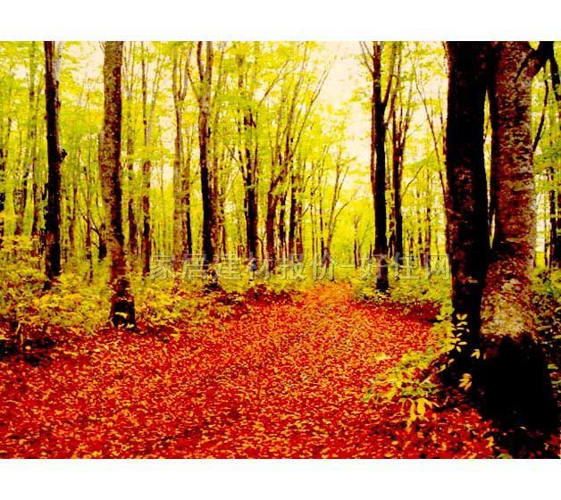 ���� PP���ڮ�S8010 ӆ�� �L(f��ng)�� �tɫ �Sɫ