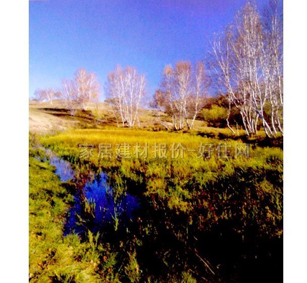 Sun Feel I墻紙 PP紙壁畫S8019 訂做 風景 黃色 藍色