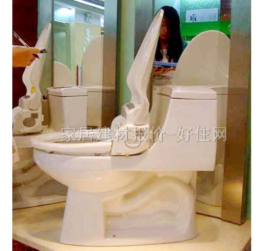 歐鳳分體馬桶坐廁 帶遙控OB-85012 未知