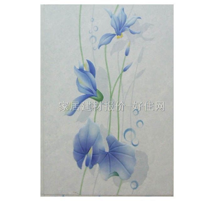 ���u��Ƭ BY1-43076H1 300��450mm