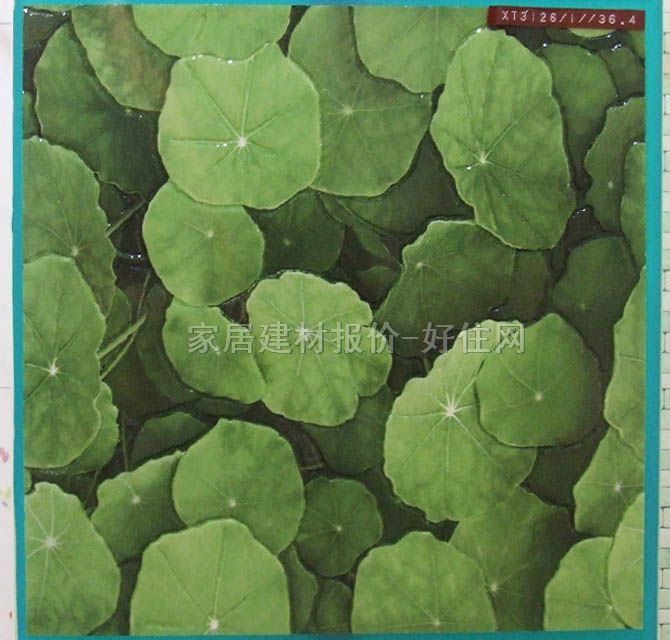 歐神諾地磚 拋晶磚XT3261 300mm×300mm