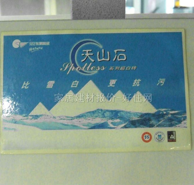 東鵬地磚 拋光磚YG803130_A 800mm×800mm